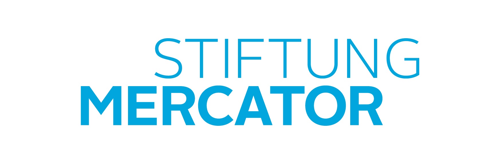 Stiftung mercator